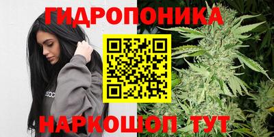 Альфа ПВП Будённовск