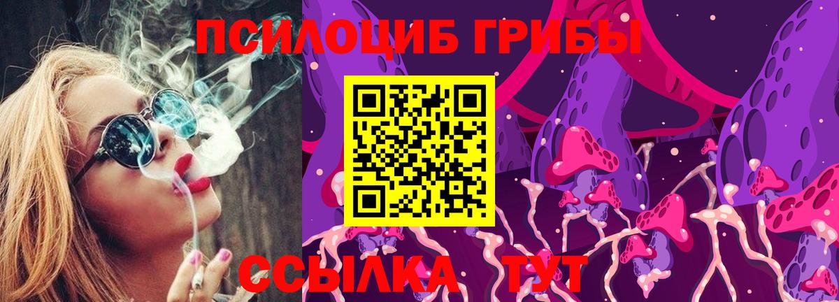Галлюциногенные грибы GOLDEN TEACHER Урус-Мартан